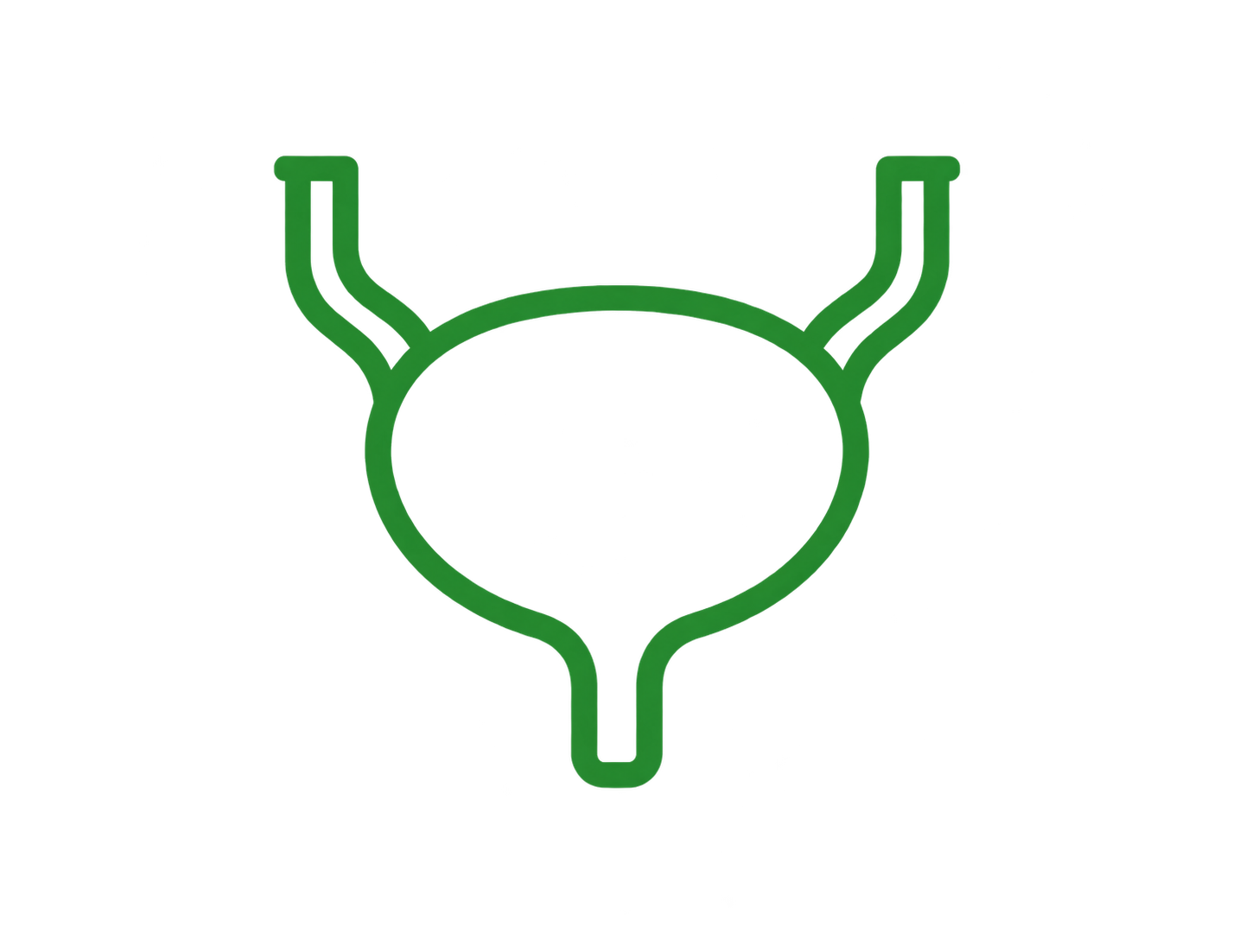 Urologia