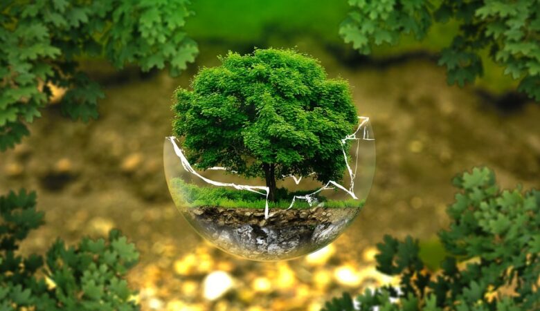 Il Microbiota: una terra sconosciuta