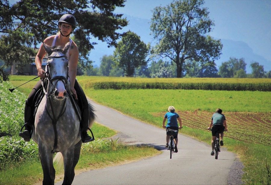 Equitazione, bicicletta e cistite